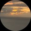 ray_cohen